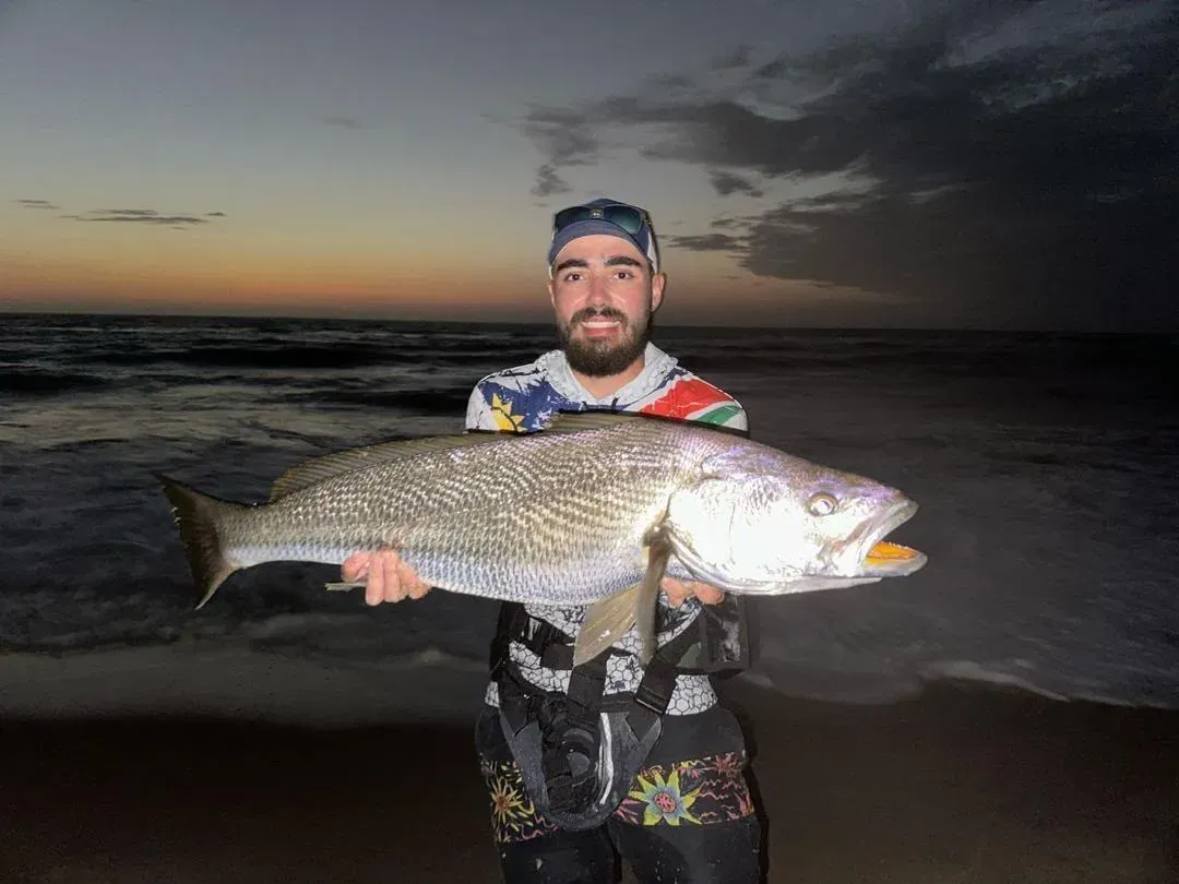 A prize kob off the Iona coast, near the Vanessa Seafood wreck