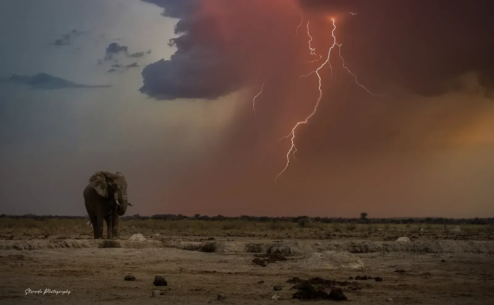 A lone elephant at a dry waterhole as lightning splits a storm-red sky