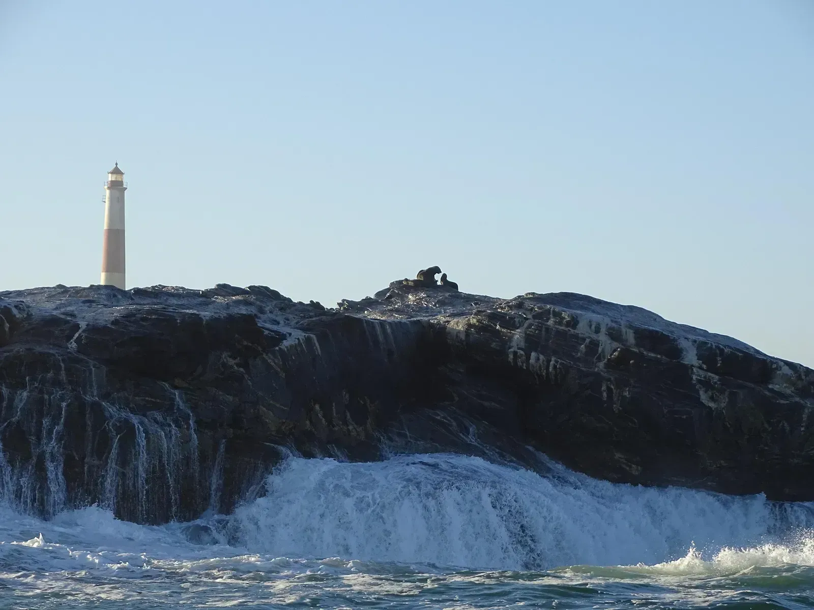 A candy-striped lighthouse on a surf-battered headland, Cape fur seals hauled out below