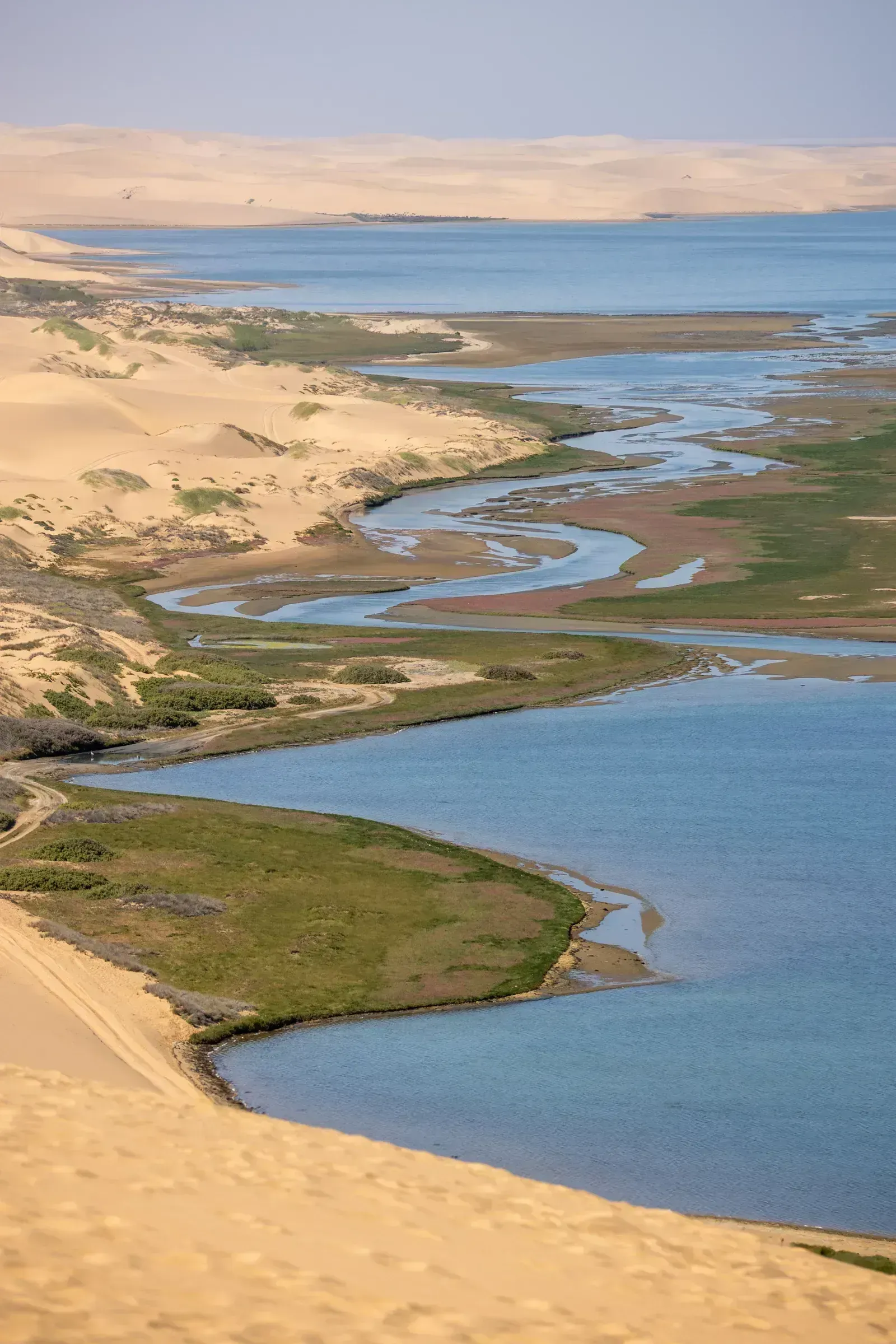 Tidal channels and marsh of the Ramsar wetland