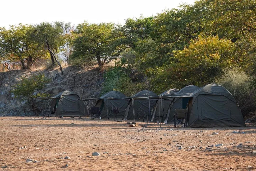 A shaded mobile tented camp beneath riverine trees