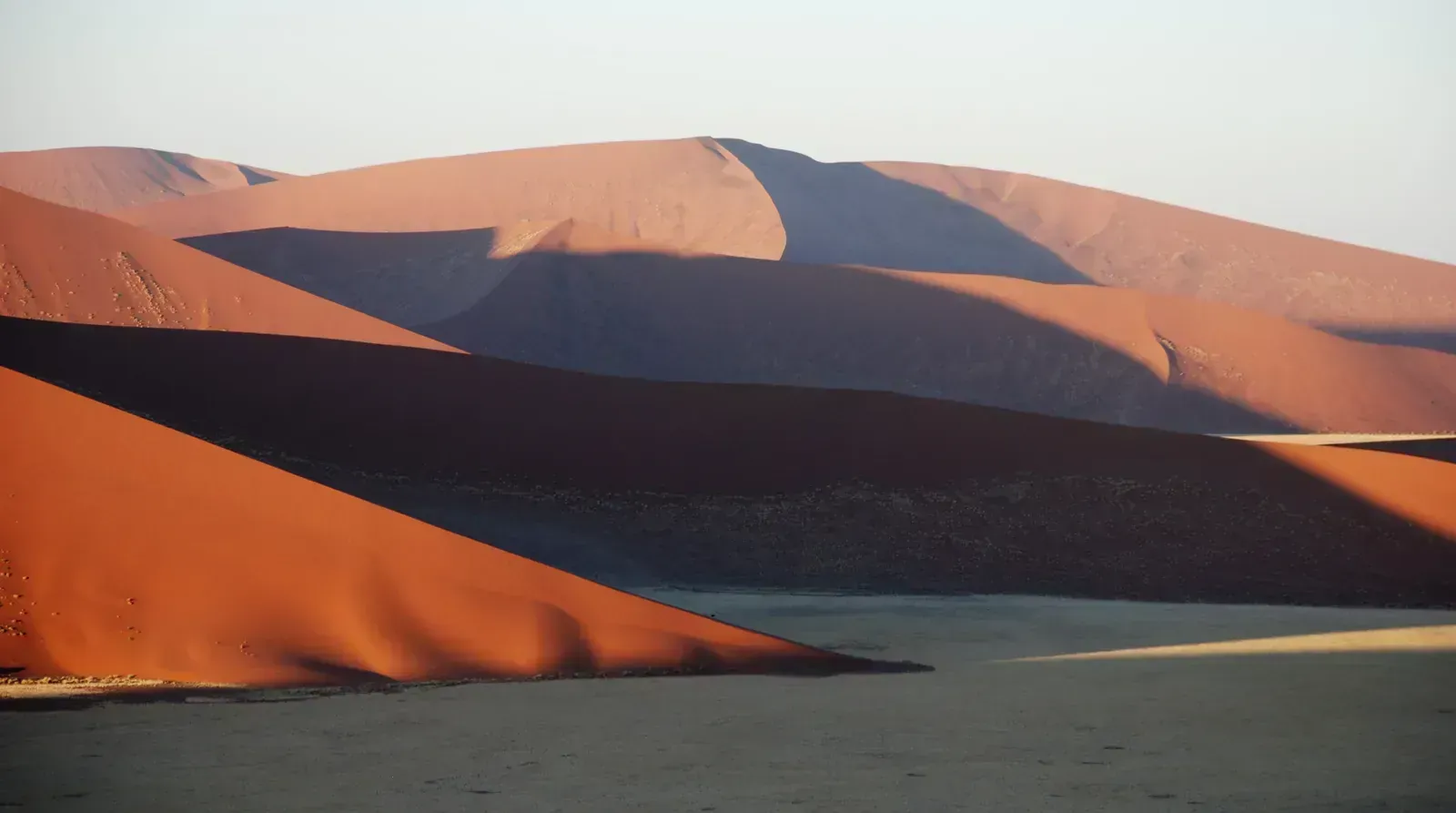 Deadvlei's petrified camelthorns on the white pan below a towering dune